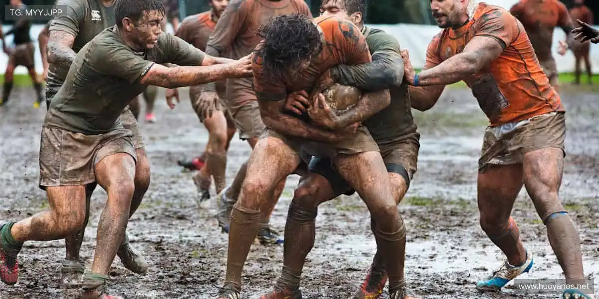 🏆 点燃你的热血时刻!顶级赛事,激情永不落幕!